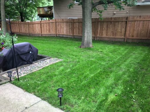 Savage Lawn Seeding