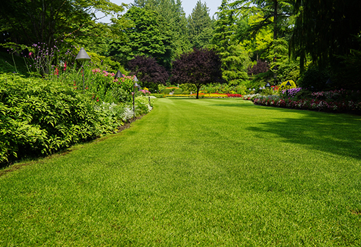 Lawn Care Services Farmington