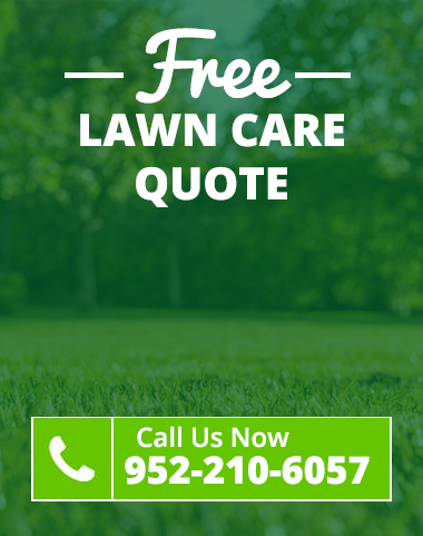 Carver Lawn Care